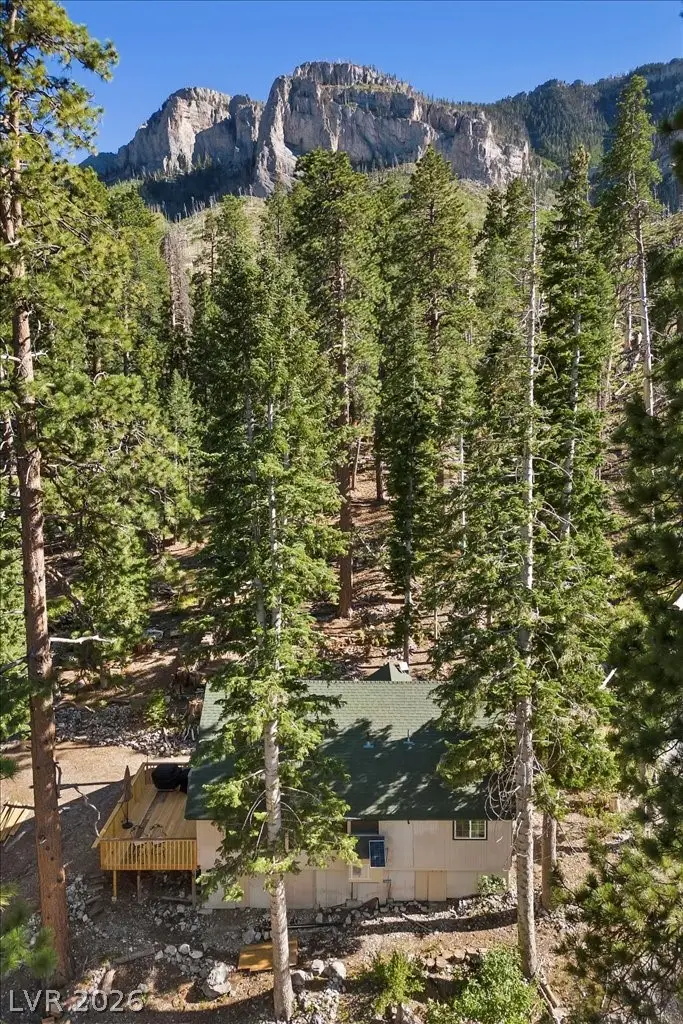 525 Snow Fall Trail, Mount Charleston, NV 89124 - #3