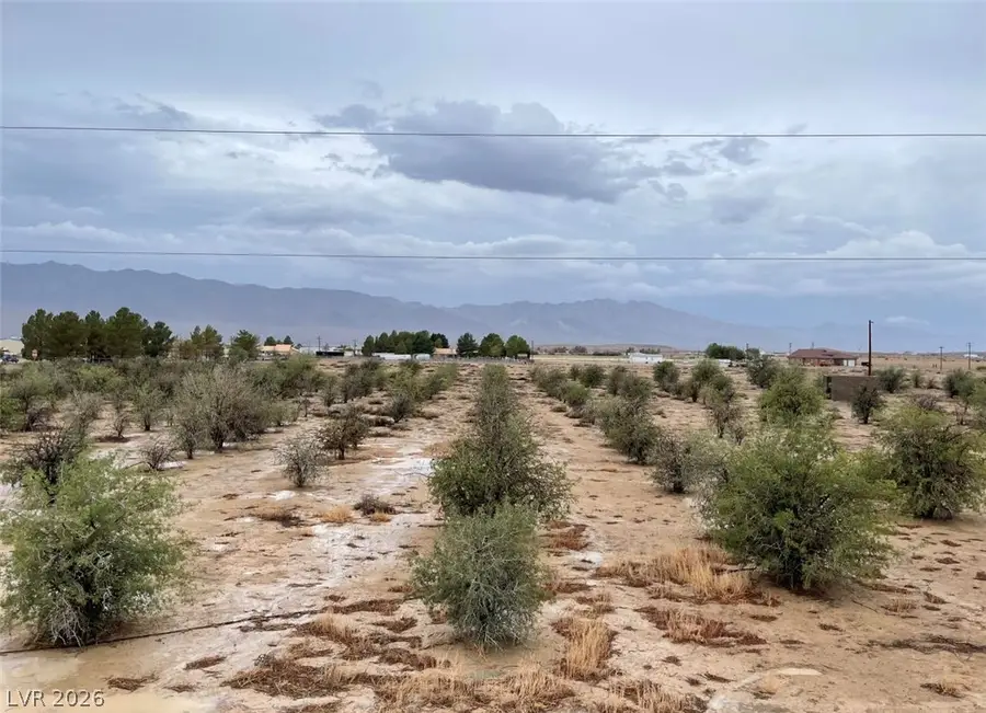 2680 Begonia Street, Pahrump, NV 89048 - #2