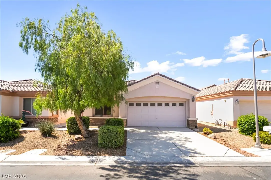 245 Spring Hollow Drive, Las Vegas, NV 89148 - #1