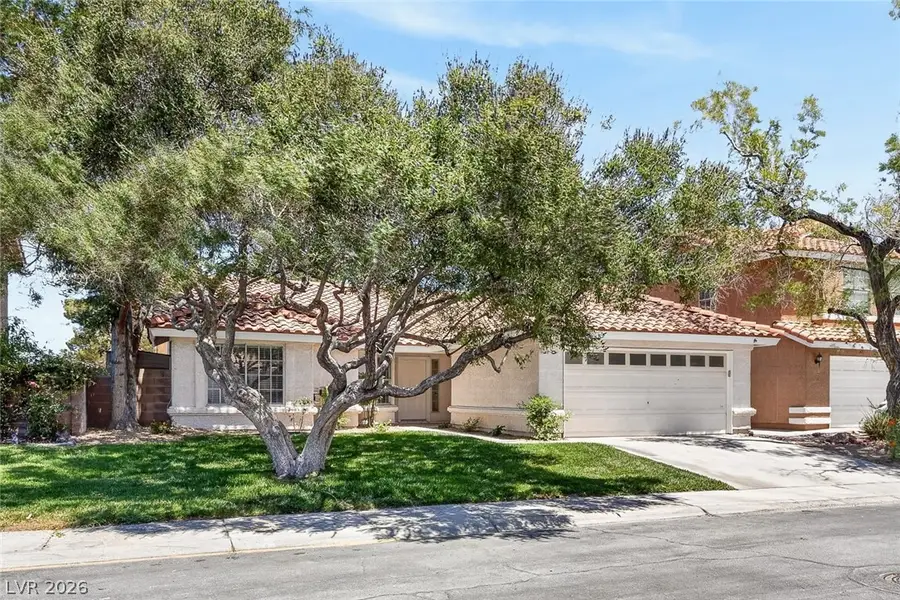 2802 Barrel Cactus Drive, Henderson, NV 89074 - #3