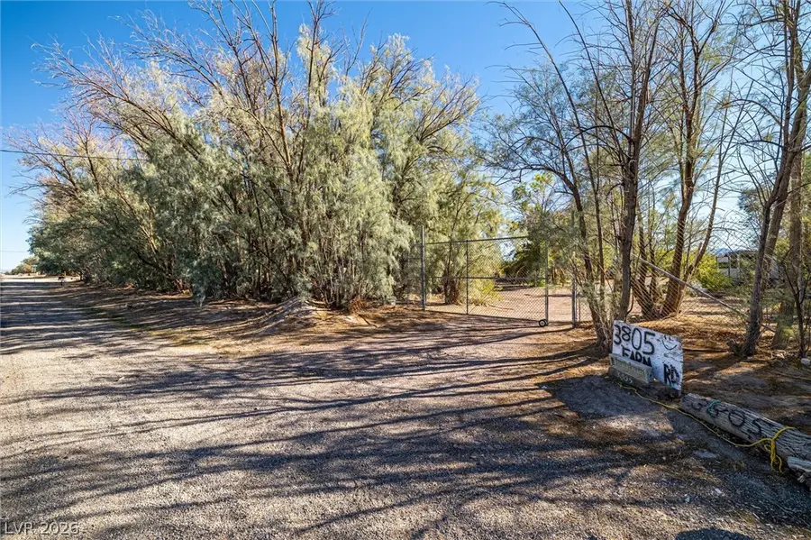 3805 W Amargosa Farm Road, Amargosa Valley, NV 89020 - #2