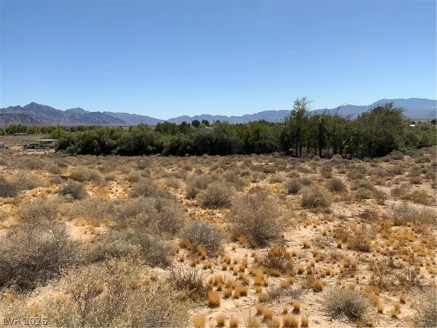 Jade Street, Sandy Valley, NV 89019 - #3