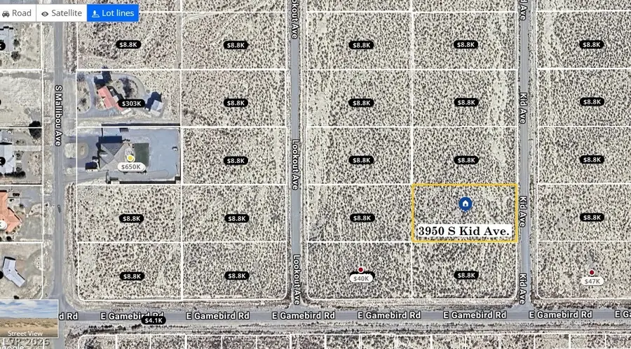 3950 S Kid Avenue, Pahrump, NV 89048 - #2