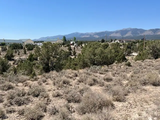 Pinyon Pine, Ely, NV 89301 - #2