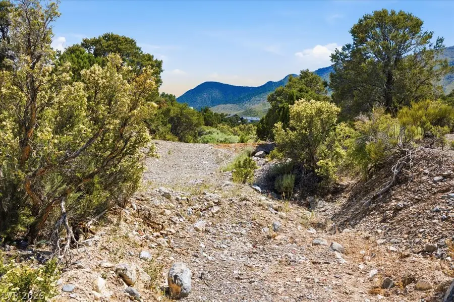 155 Oak Trail Circle, Cold Creek, NV 89124 - #2