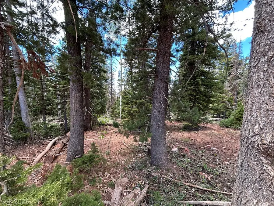 314 E Toboggan Circle, Brian Head, UT 84719 - #3