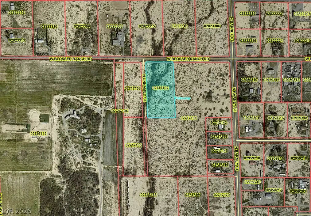 3161 W Blosser Ranch Road, Pahrump, NV 89060 - #1