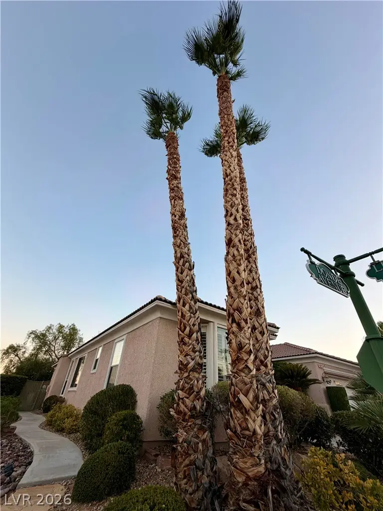10227 Donde Avenue, Las Vegas, NV 89135 - #2