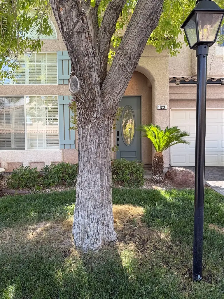 11231 Playa Bonita Avenue, Las Vegas, NV 89138 - #1