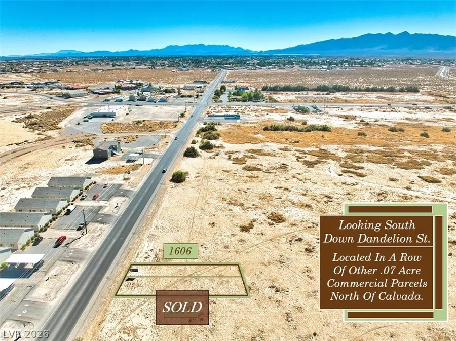 1606 S Dandelion Street, Pahrump, NV 89048 - #3
