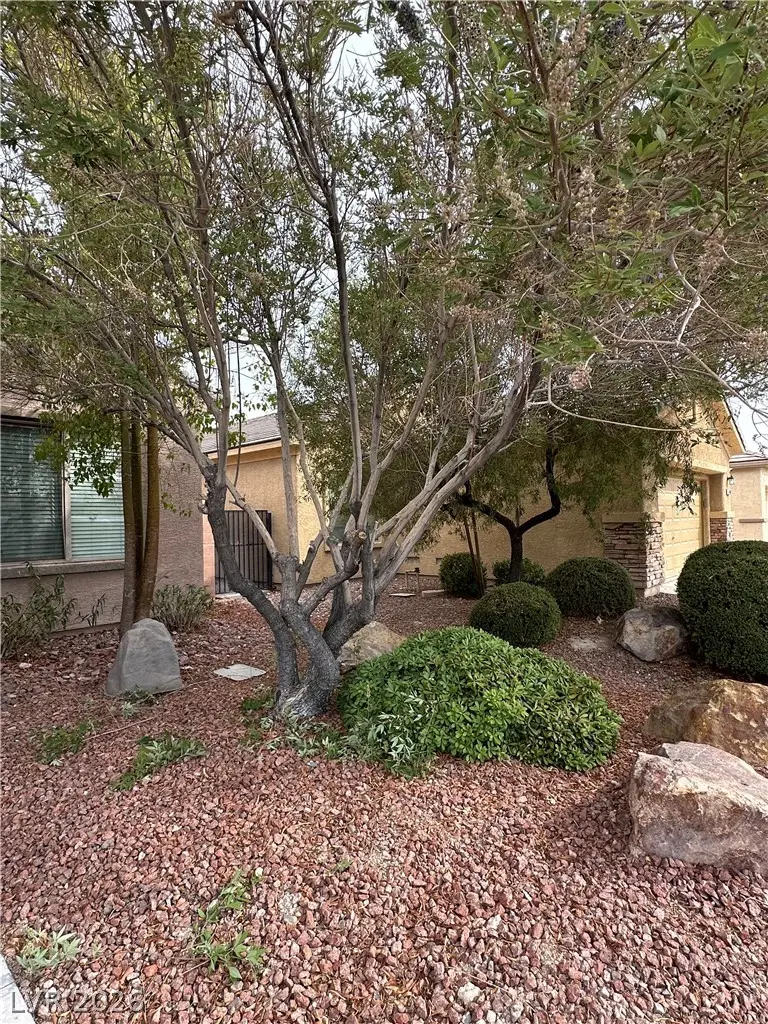 4112 Gliding Gulls Avenue, North Las Vegas, NV 89084 - #2