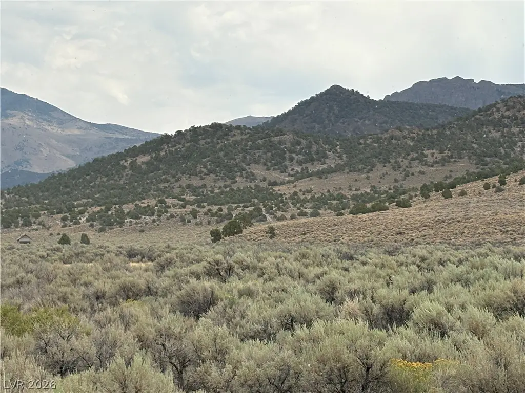 Mattier Creek, Ely, NV 89301 - #1