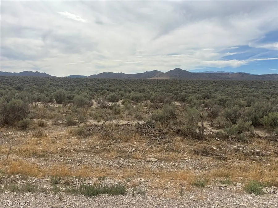 Preston Dump Road, Ely, NV 89301 - #2