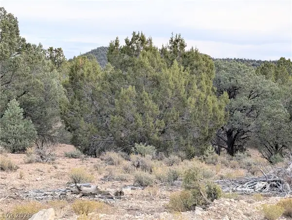Lot 1-B Side Hill Pass, Pioche, NV 89043
