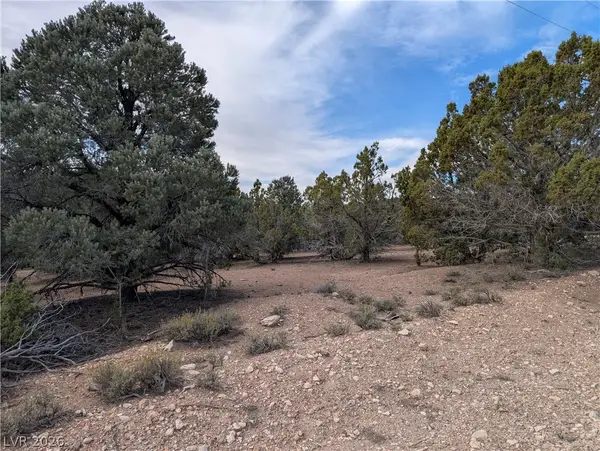 Lot 1-D Side Hill Pass, Pioche, NV 89043