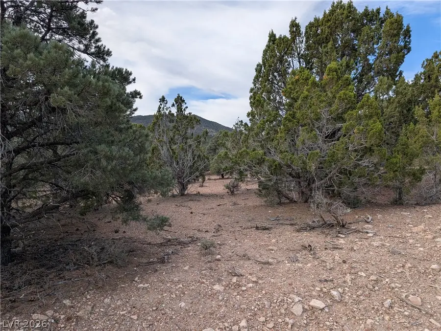 Lot 1-D Side Hill Pass, Pioche, NV 89043 - #3