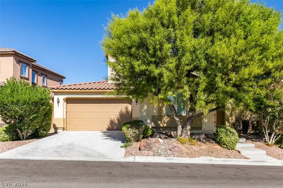 11244 Jasper Grove Avenue, Las Vegas, NV 89138 - #2
