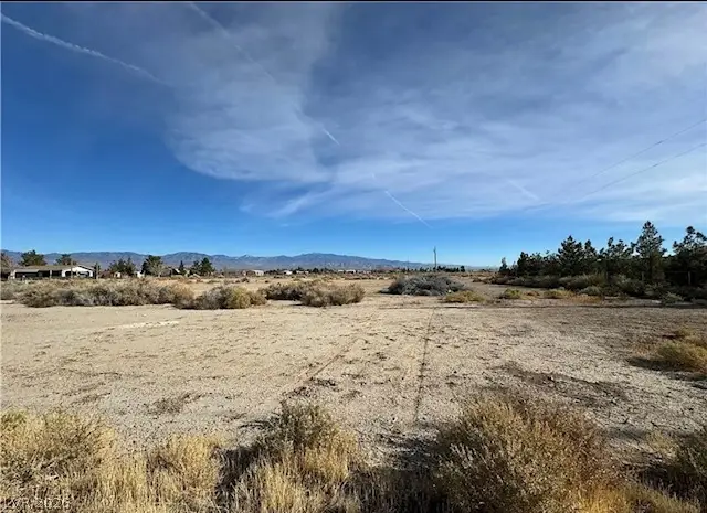 1621 S Corbin Street, Pahrump, NV 89048 - #1