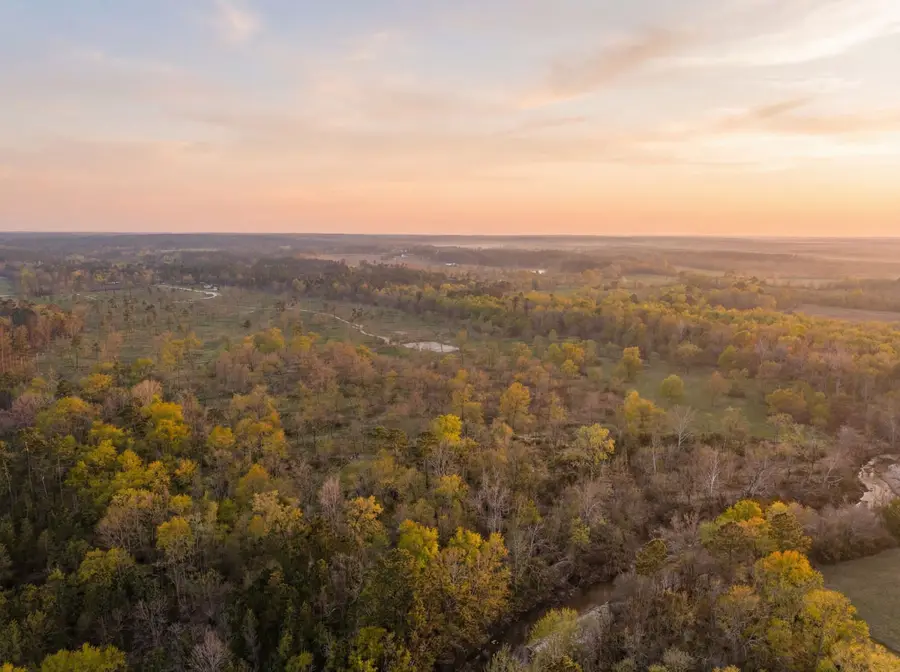 Lot 7 Johnson Drive, Livingston, TX 77351 - #3
