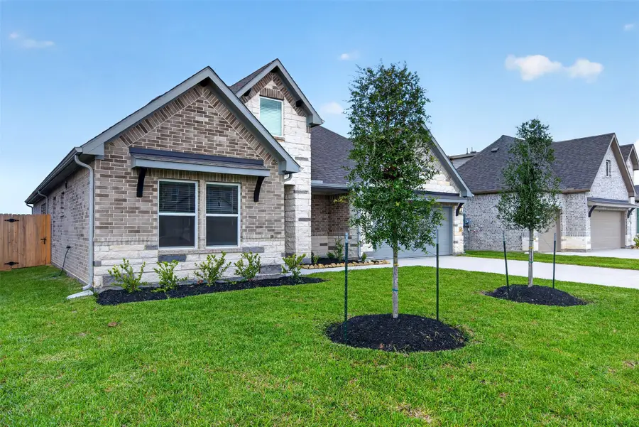 3523 Windmill Palm Drive, Manvel, TX 77578 - #2