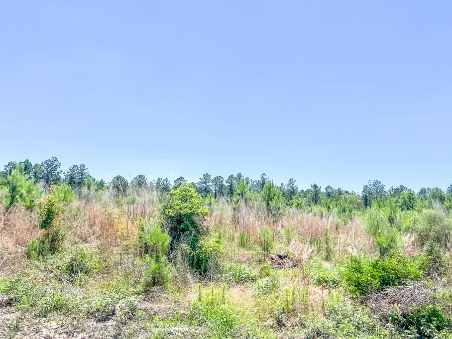 T-2 Union Springs Road, Corrigan, TX 75939 - #2