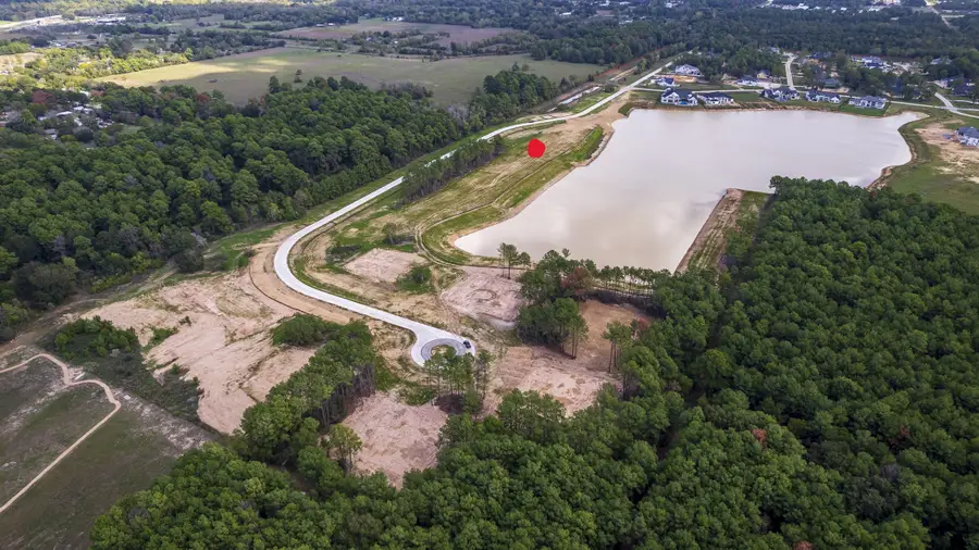 10 Dashingly Ct, Tomball, TX 77377 - Image #3