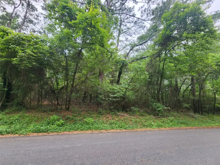 207 Long King, Livingston, TX 77351 - Image #2