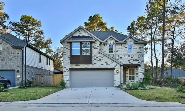 239 Brecon Buff Drive, Willis, TX 77318