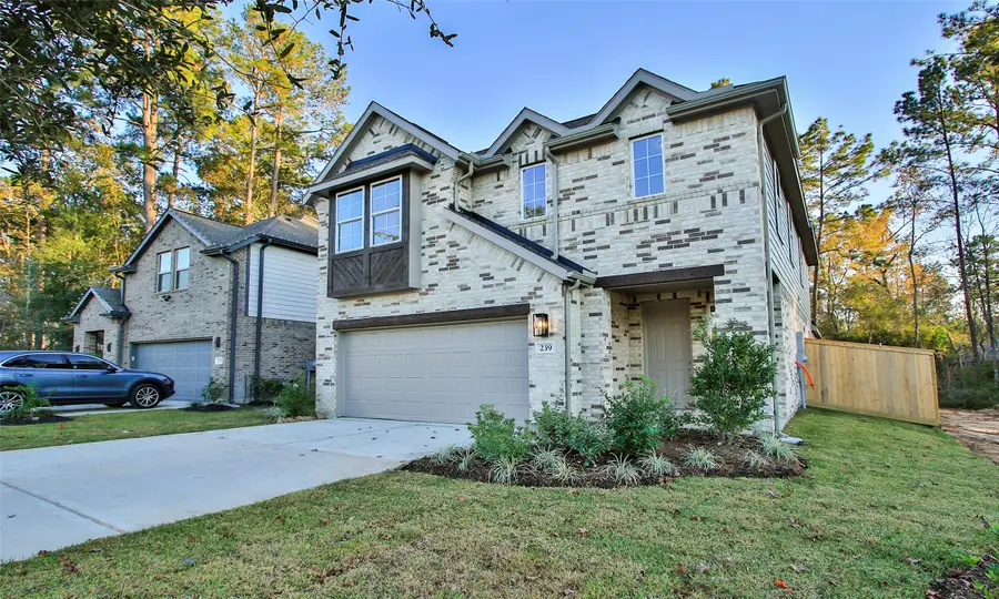 239 Brecon Buff Drive, Willis, TX 77318 - Image #2