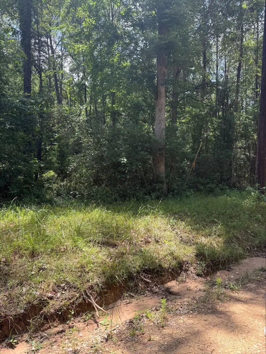 0 Non Such Road, Livingston, TX 77351 - #3