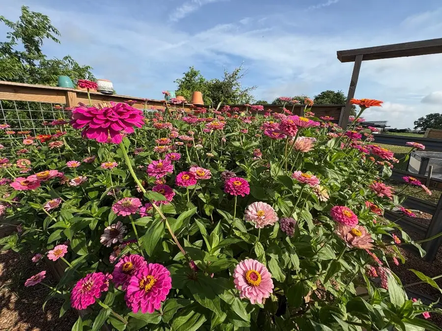 5700 Trackside Road, Chappell Hill, TX 77426 - #2