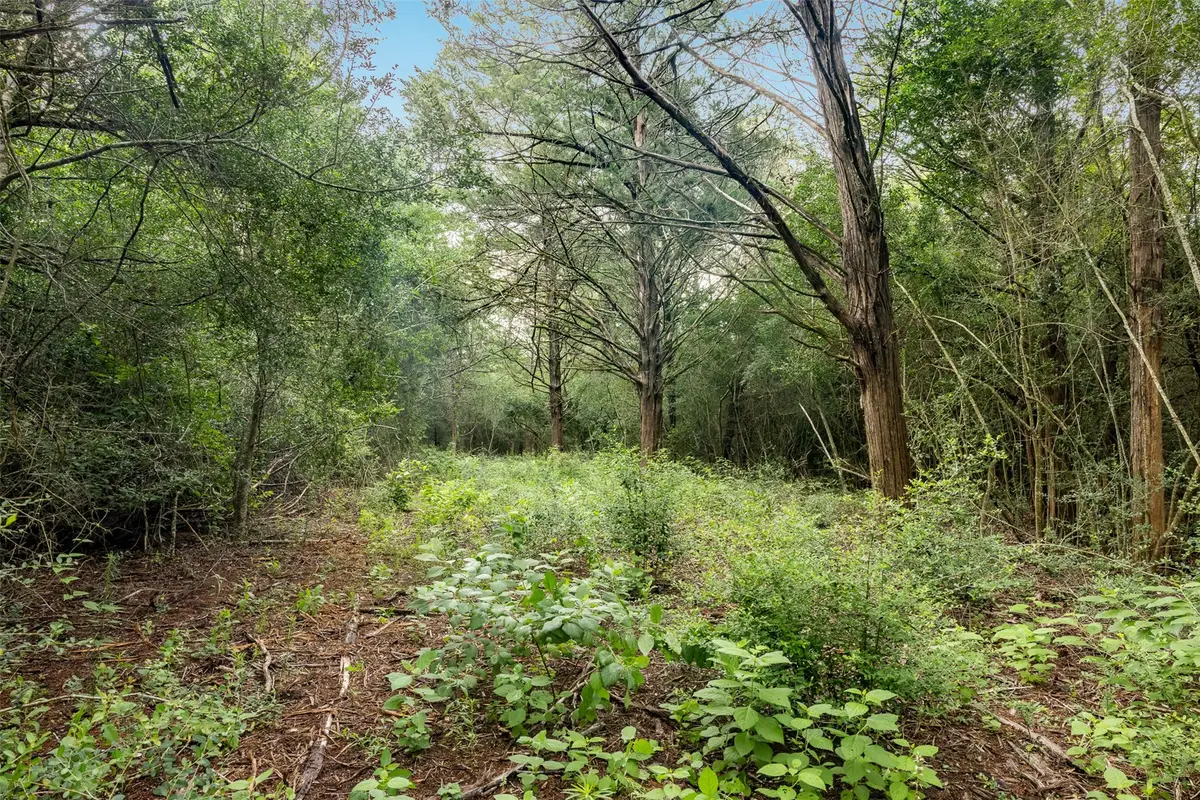 TBD Homestead Lane, Burton, TX 77835 - Image #1