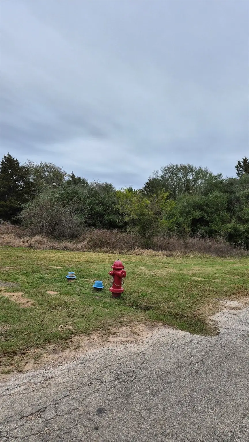 0 Shepard, Hempstead, TX 77445 - Image #3