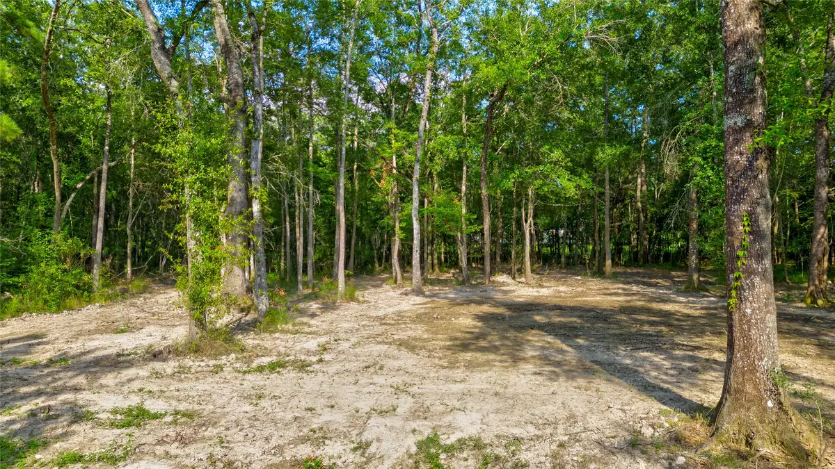 6386 Mesquite, Orange, TX 77632 - Image #1