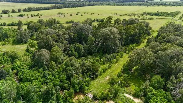 31100 Old Sour Lake Road, Sour Lake, TX 77659