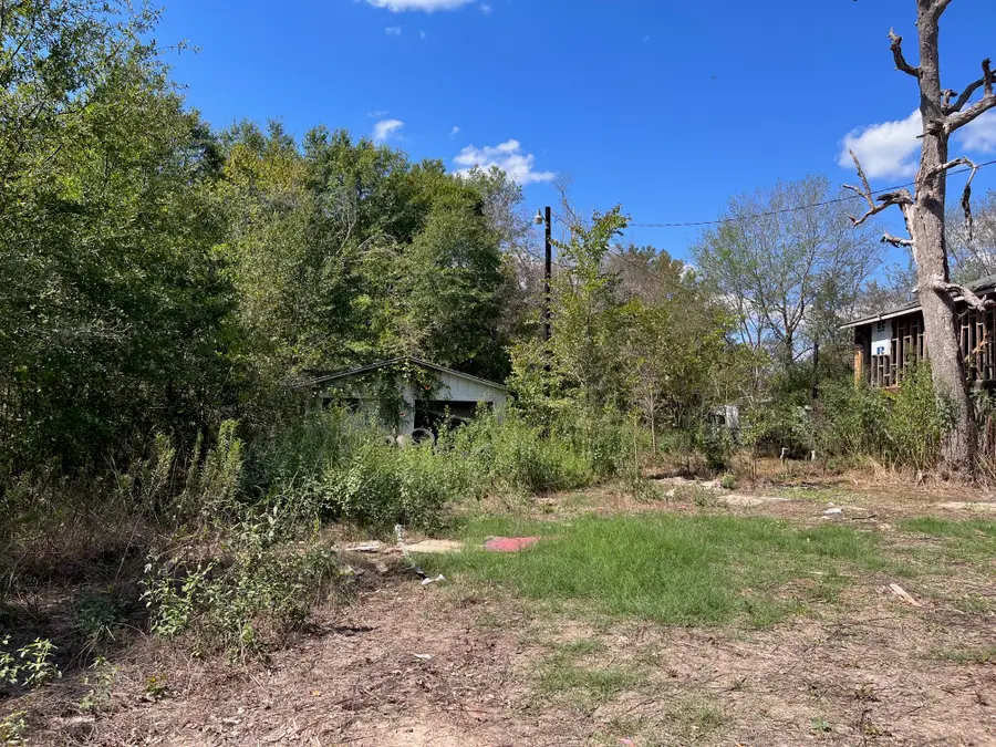 166 Plantation Road, Trinity, TX 75862 - #3