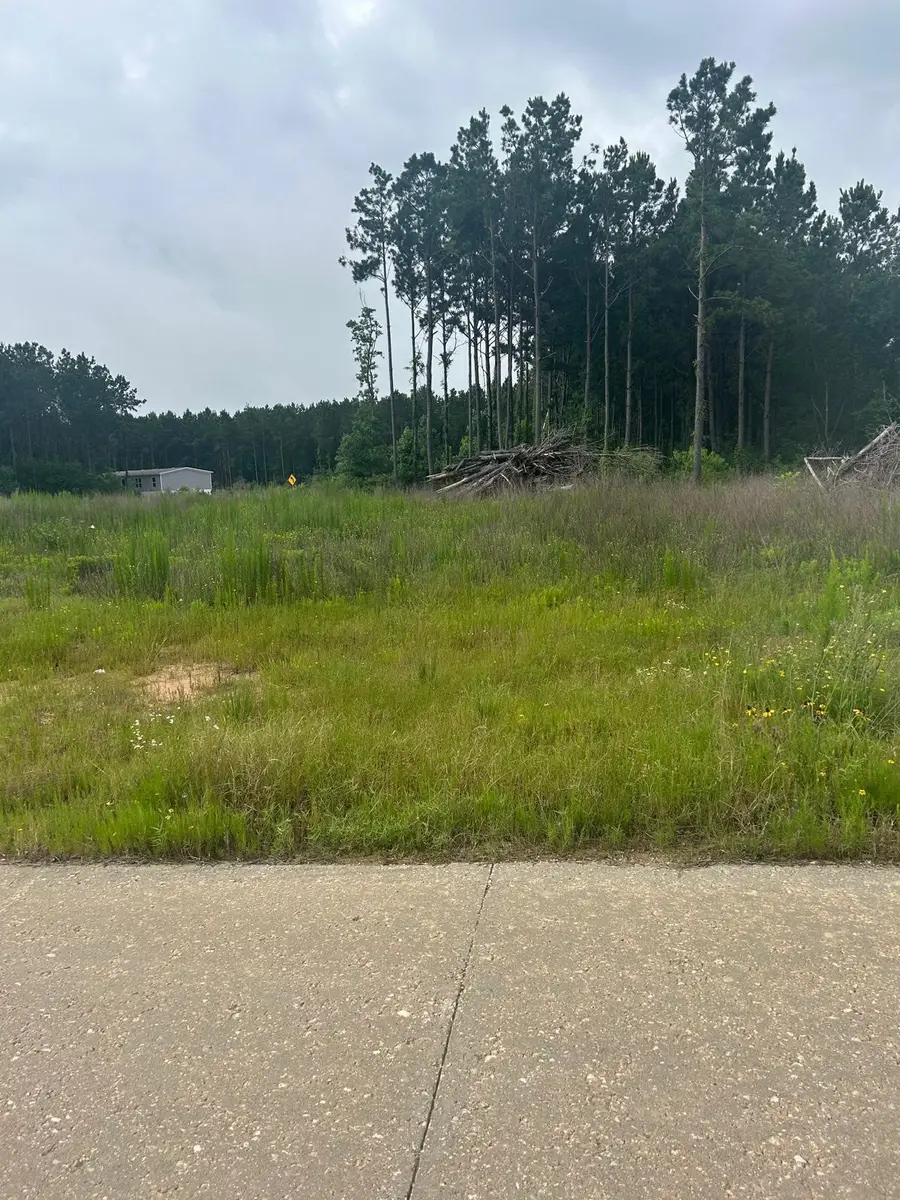 1517 Road 5894, Cleveland, TX 77327 - #3