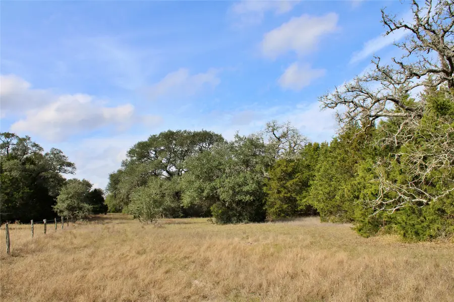 TBD Parcel 9 Lobo Lane, Columbus, TX 78934 - #2