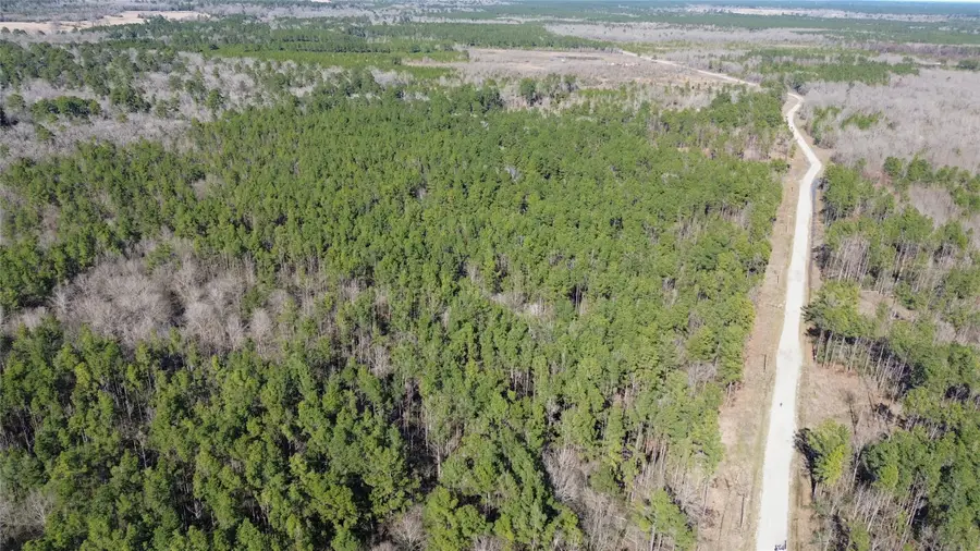 3012 Pr 8160, Lovelady, TX 75851 - Image #3