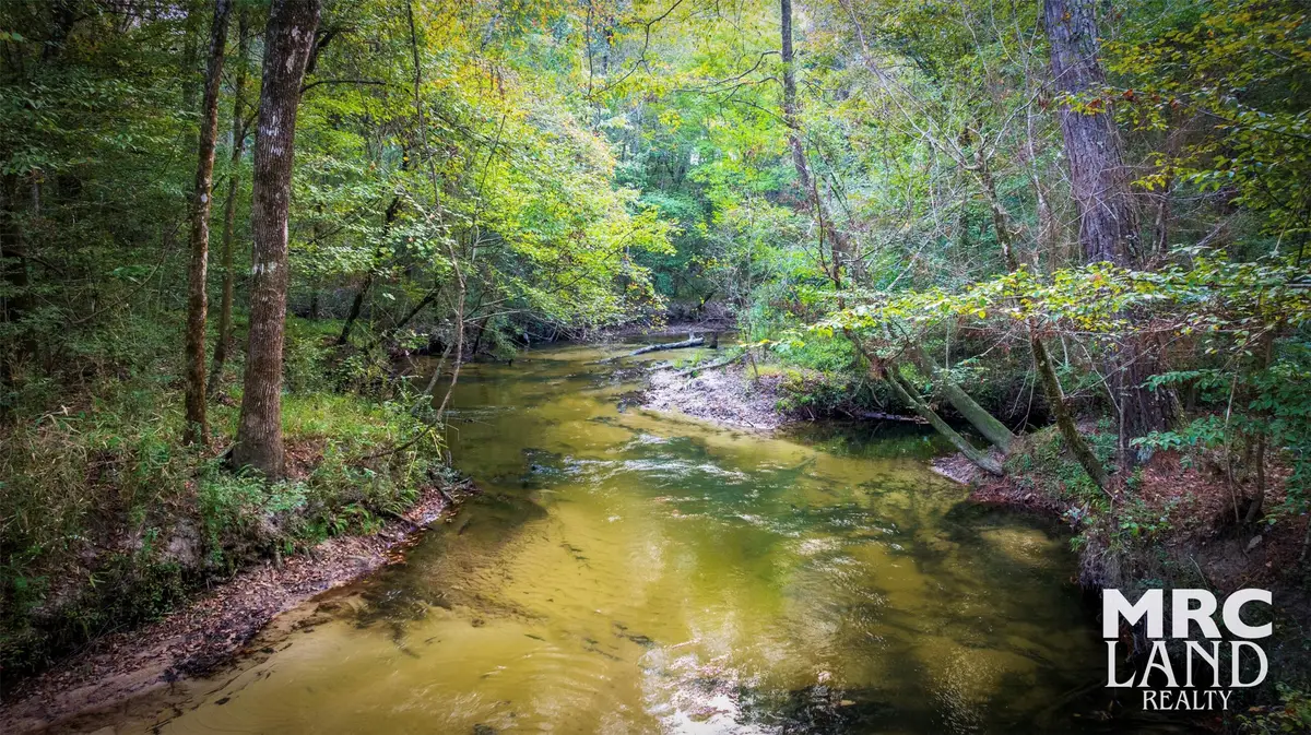 15117 Texas 87, Wiergate, TX 75977 - Image #1