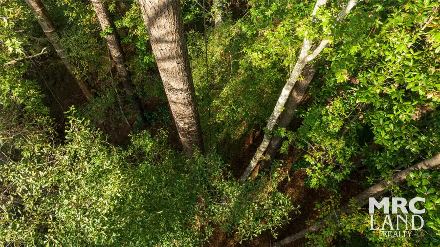 15117 Texas 87, Wiergate, TX 75977 - Image #2