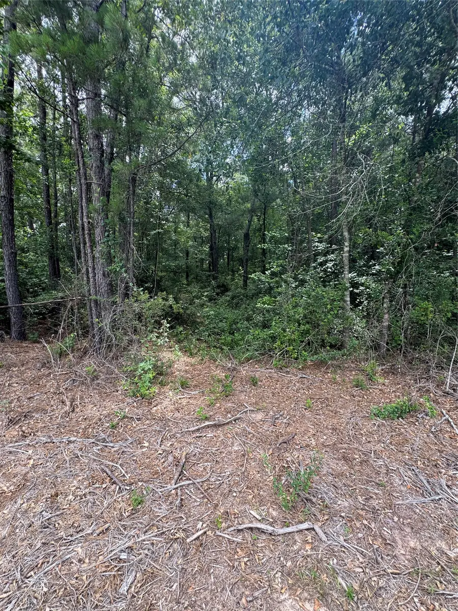 1136 Road 3802, Cleveland, TX 77328 - #3