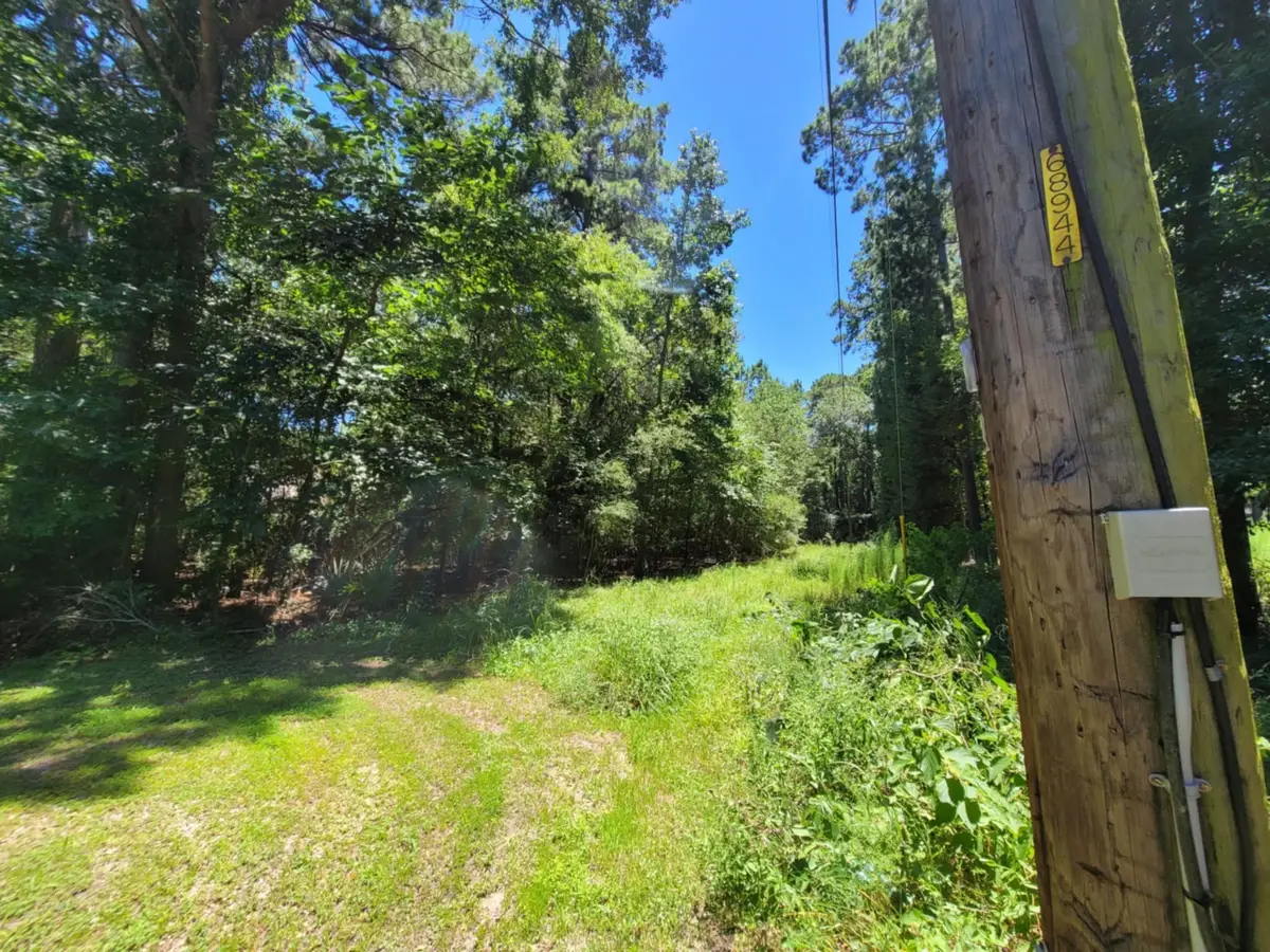 0 Chestnut Drive, Montgomery, TX 77356 - #1