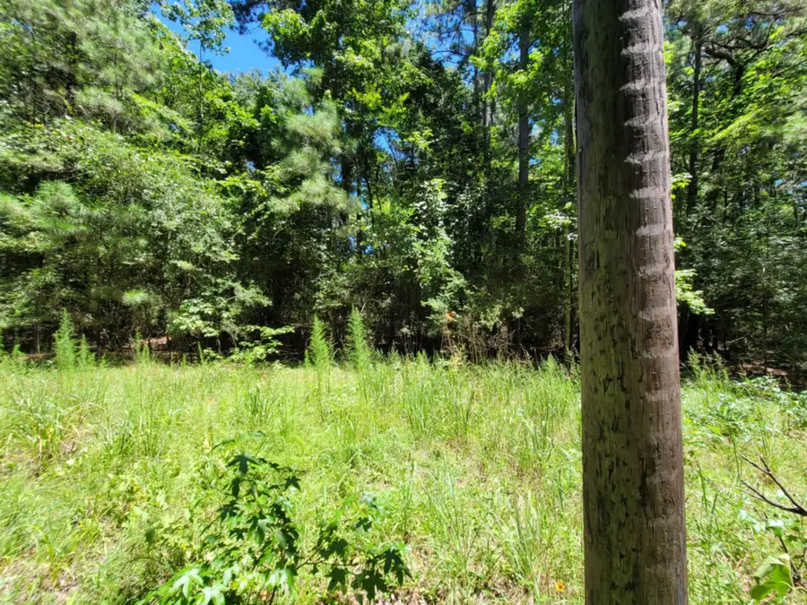 0 Chestnut Drive, Montgomery, TX 77356 - #2