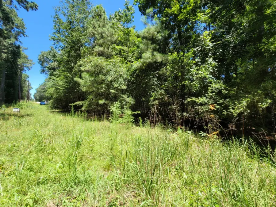 0 Chestnut Drive, Montgomery, TX 77356 - #3