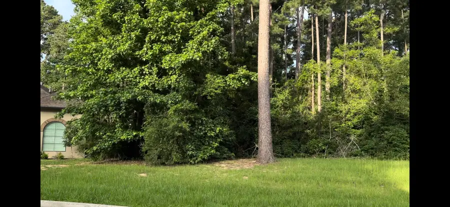 129 Pine Branch Drive, Montgomery, TX 77356 - Image #2