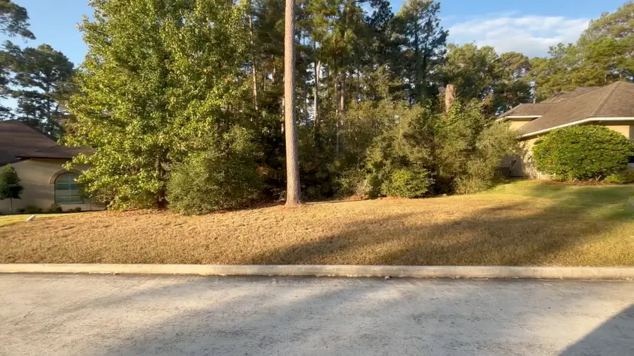 129 Pine Branch Drive, Montgomery, TX 77356 - Image #3