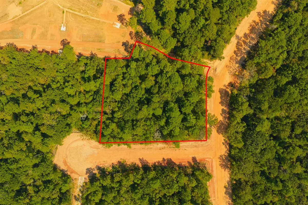 26410 Old Head Trail, Montgomery, TX 77316 - #1