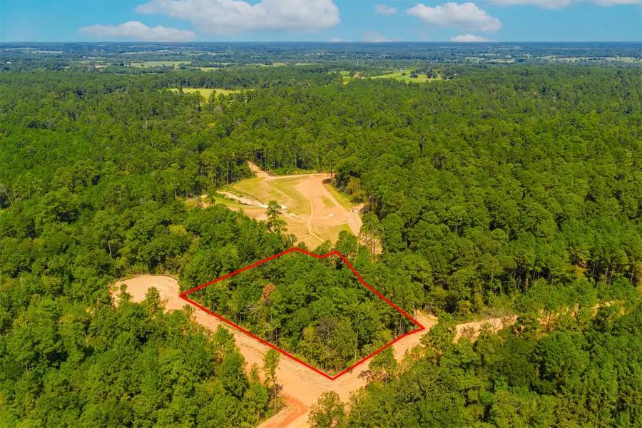 26410 Old Head Trail, Montgomery, TX 77316 - #2