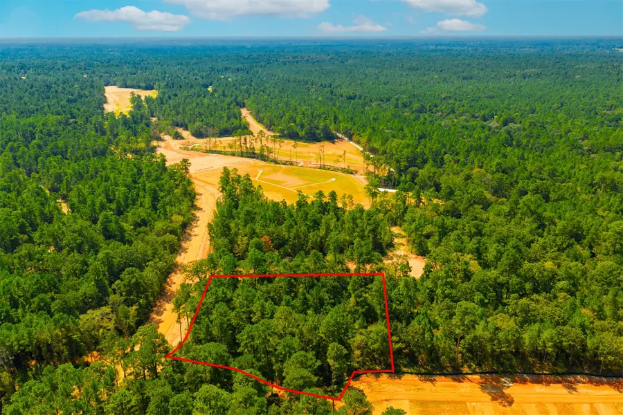 26410 Old Head Trail, Montgomery, TX 77316 - #3